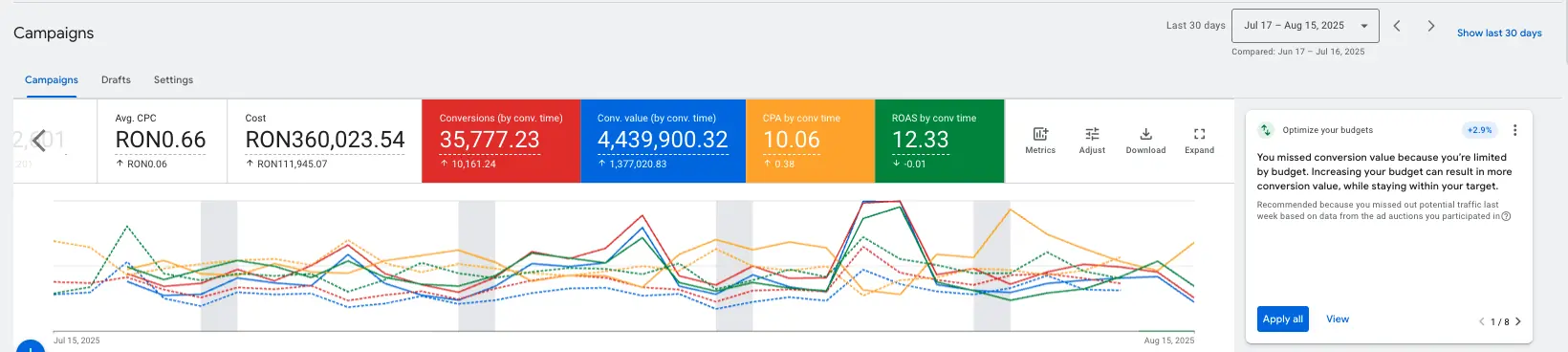 Rezultate campanie Google Ads — scalare liniară business